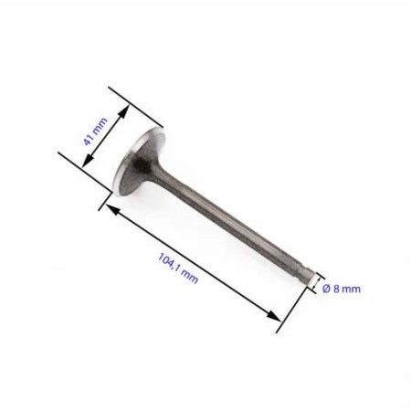 Ecrou - Hexa - borgne - Inox A2 - M12 x1.75 - (x1) - DIN1587 -  030...