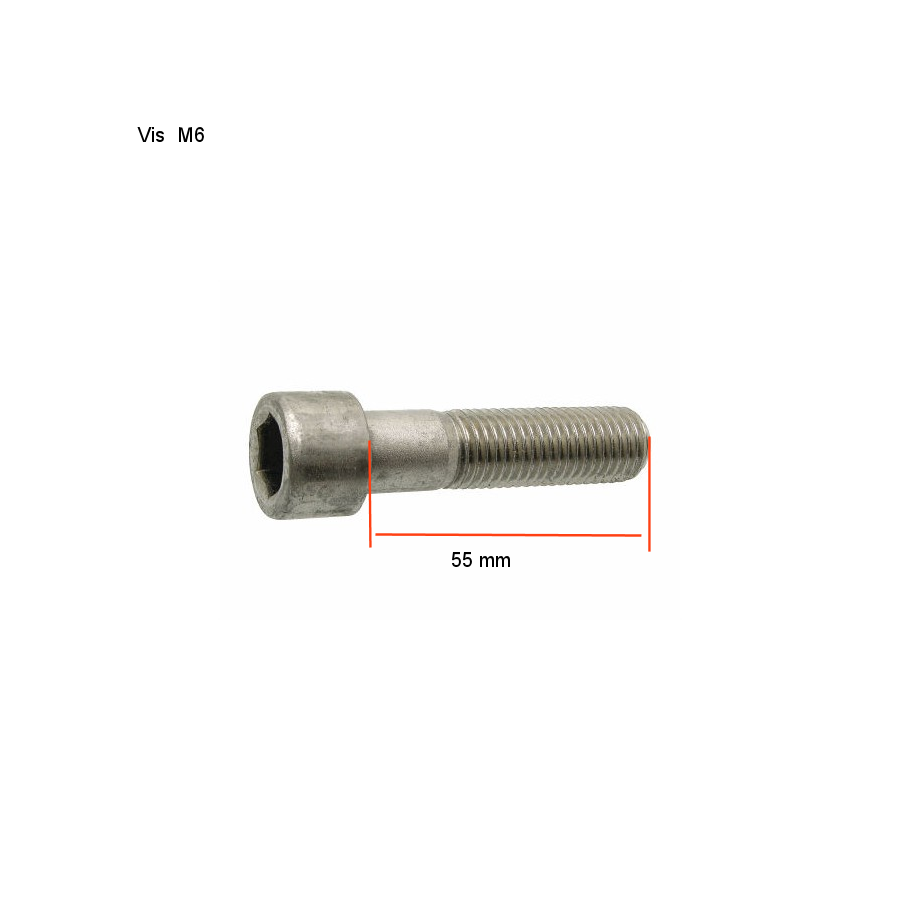 Vis BTR - INOX - M6 x55 mm - (x10) - DIN912 03144-060-550