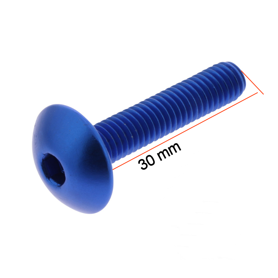 Vis - M6 x30 mm - BTR Bombée - 16mm 93508-060-300