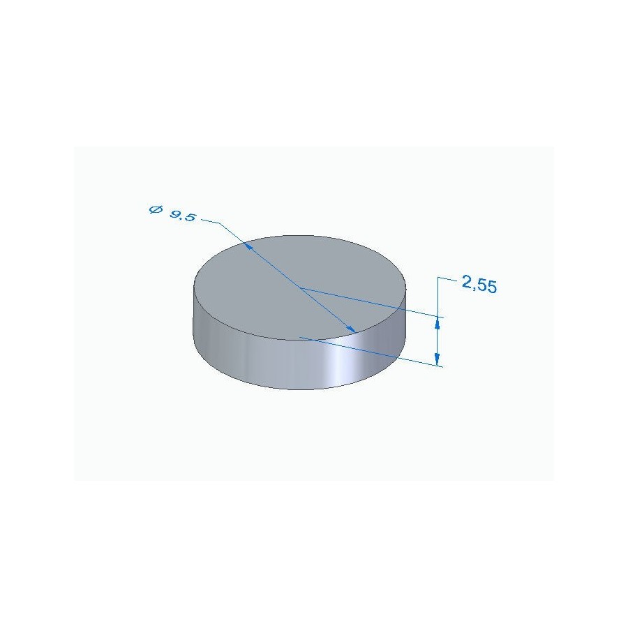 Moteur - Pastille Ep. 2.550 - ø 9.50mm - Jeu aux soupapes 01183-095...