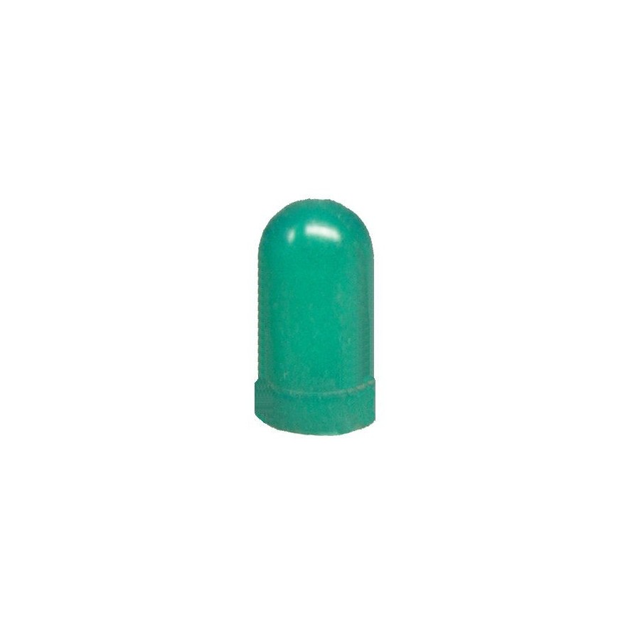 Ampoule - W2x4.6D - Capuchon - Vert  36200-011-053