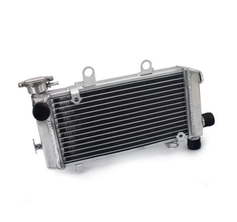 Service Moto Pieces|Radiateur d'Eau - VTR1000|Demarreur|291,30 €