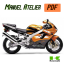 copy of  Manuel Atelier - ZX-9R - edition 2002 - Version PDF