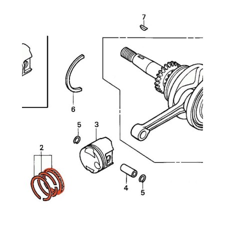 Moteur - Segment - (+0.00) - NPS50 -