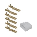 Connecteur - 6 broches males + cosse - (250 Series) - 6.3mm 20060-2...