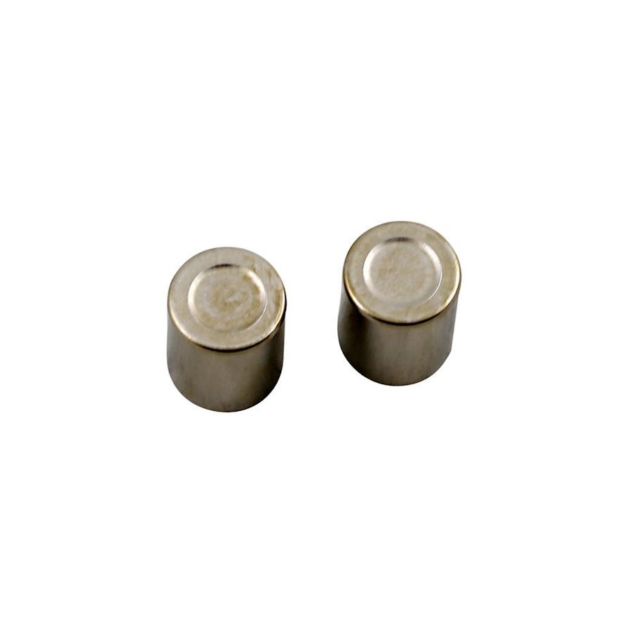 Frein - Etrier - Piston (x2) - ø25.30 x31.00mm - GL1500-XL125-VT750...