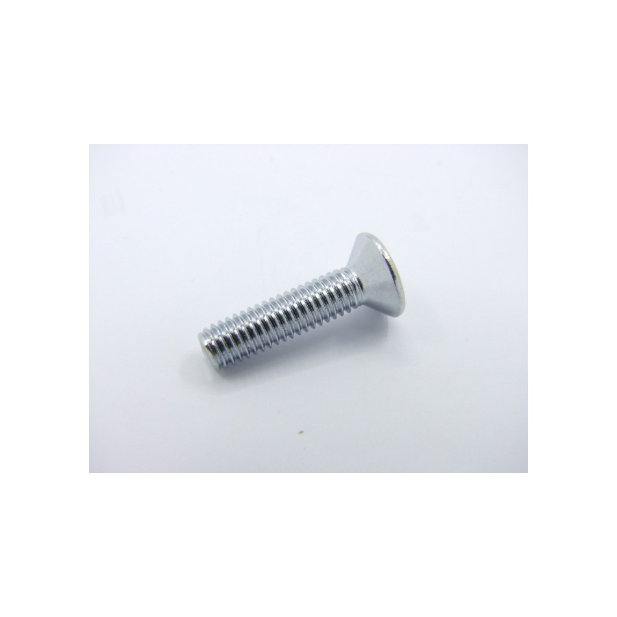 Vis - M6 x25mm - INOX - Cruciforme - Conique - Bombée - (x1) 93701-...