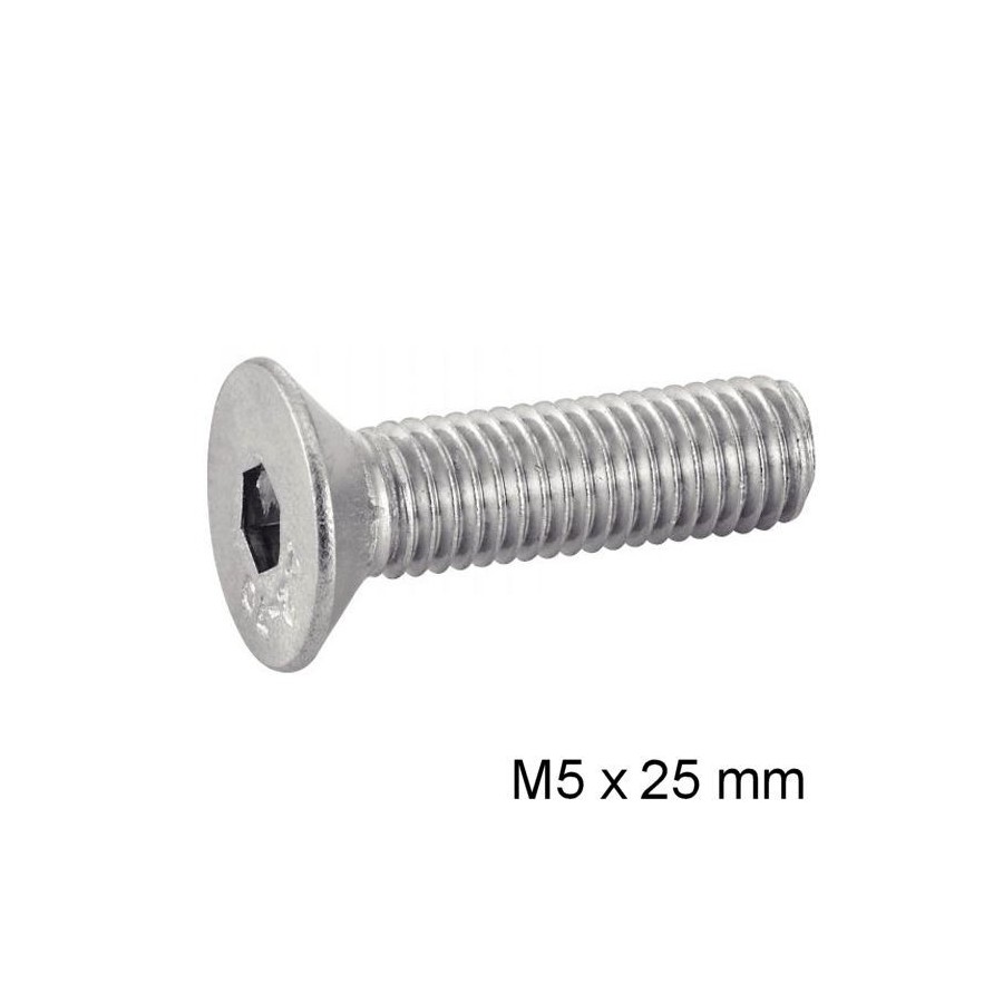 Vis - M5 x25 - BTR - Fraisee - DIN 7991 - Inox 03174-050-250