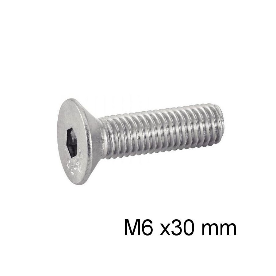 Vis - M6 x30 - BTR - Fraisee - DIN 7991 - Inox 03174-060-030