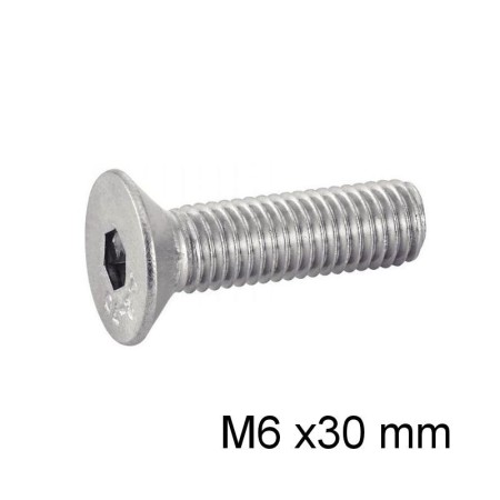 Vis - M6 x30 - BTR - Fraisee - DIN 7991 - Inox 03174-060-030