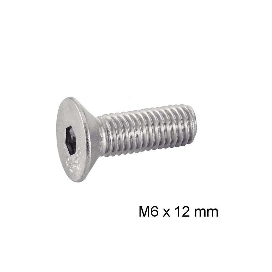 Vis - M6 x12 - BTR - Fraisee - DIN 7991 - Inox 03174-060-012