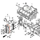 Moteur - Joint de forme - radiateur huile - CBR600 - (PC25)  15615-...