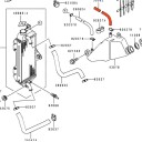 Radiateur - Durite Eau - 39062-1315 80100-621-315